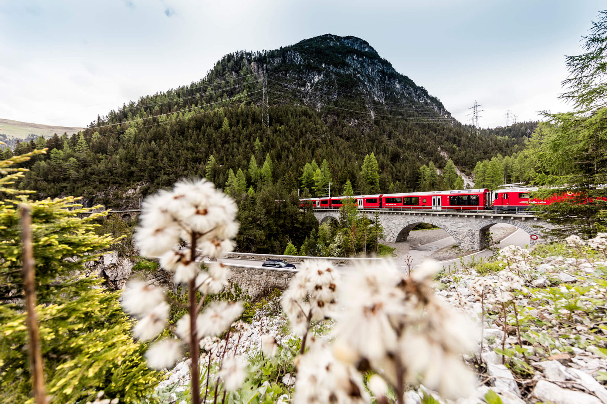 Switzerland-trains