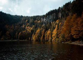 Black_Forest